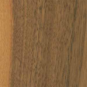 Honey Stain on Walnut